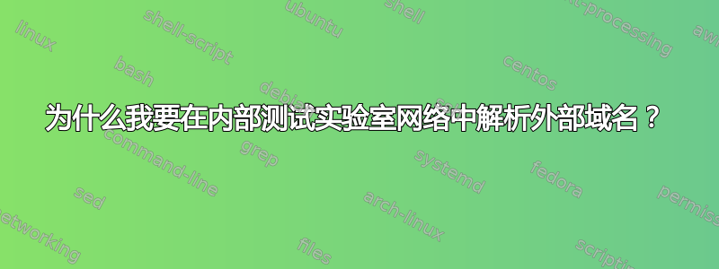 为什么我要在内部测试实验室网络中解析外部域名？