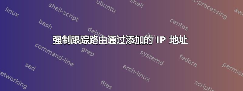 强制跟踪路由通过添加的 IP 地址