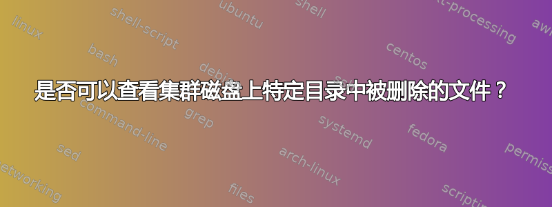 是否可以查看集群磁盘上特定目录中被删除的文件？