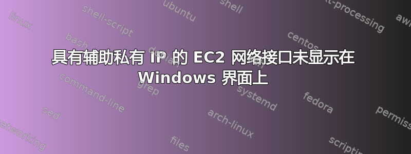 具有辅助私有 IP 的 EC2 网络接口未显示在 Windows 界面上