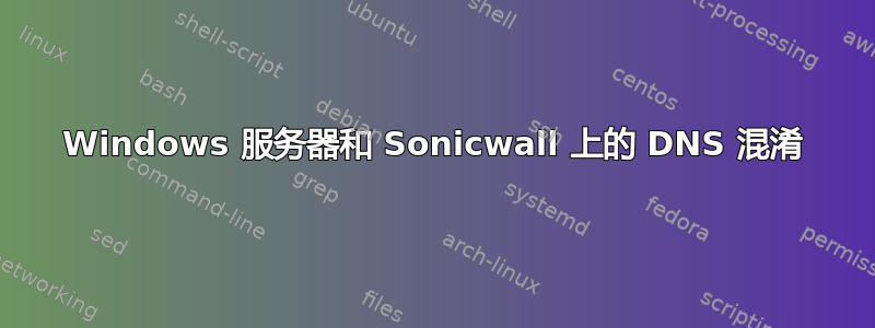 Windows 服务器和 Sonicwall 上的 DNS 混淆