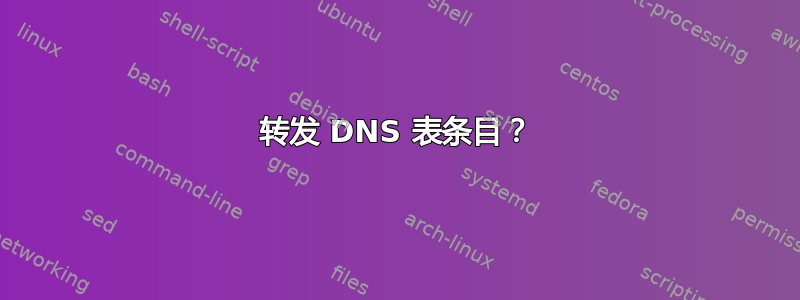 转发 DNS 表条目？