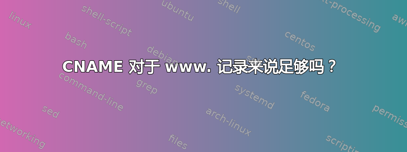 CNAME 对于 www. 记录来说足够吗？