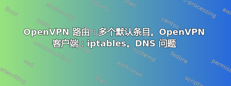 OpenVPN 路由：多个默认条目。OpenVPN 客户端：iptables。DNS 问题