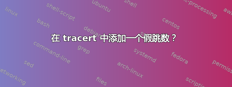 在 tracert 中添加一个假跳数？