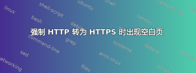 强制 HTTP 转为 HTTPS 时出现空白页