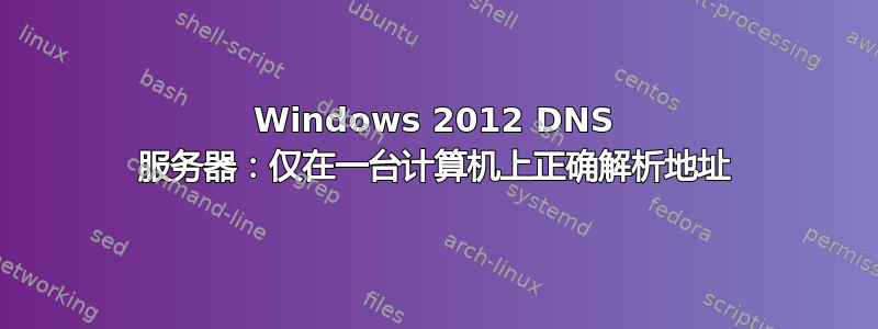 Windows 2012 DNS 服务器：仅在一台计算机上正确解析地址