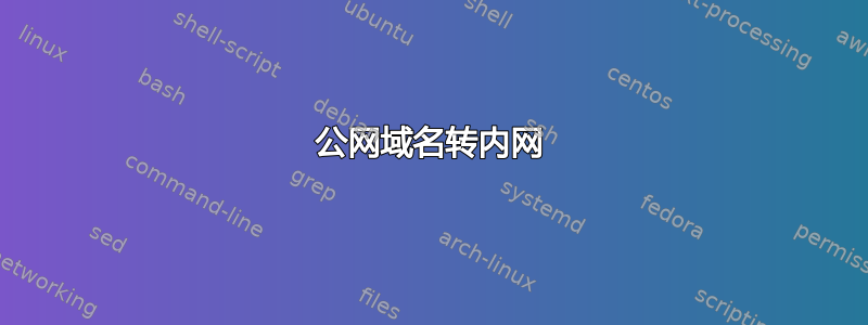 公网域名转内网