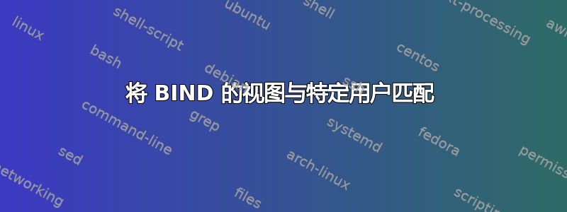 将 BIND 的视图与特定用户匹配