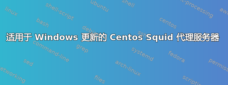 适用于 Windows 更新的 Centos Squid 代理服务器