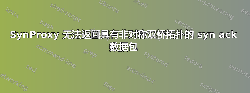 SynProxy 无法返回具有非对称双桥拓扑的 syn ack 数据包