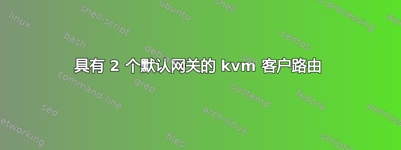 具有 2 个默认网关的 kvm 客户路由