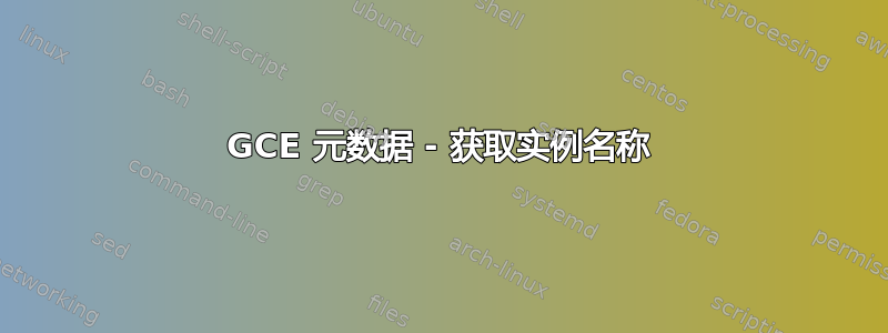 GCE 元数据 - 获取实例名称