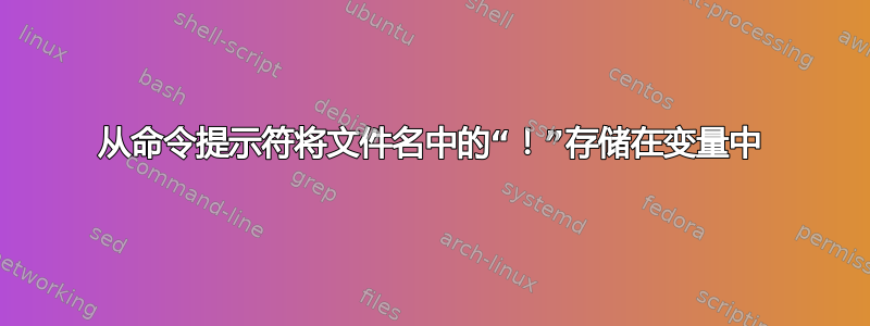 从命令提示符将文件名中的“！”存储在变量中