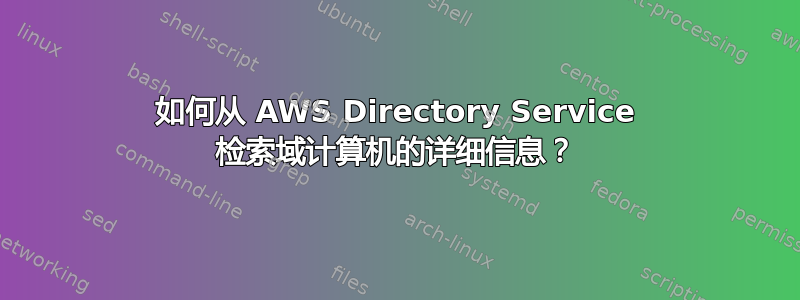 如何从 AWS Directory Service 检索域计算机的详细信息？