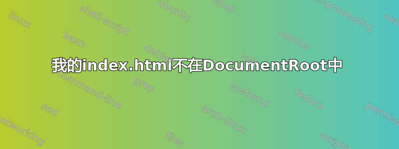 我的index.html不在DocumentRoot中