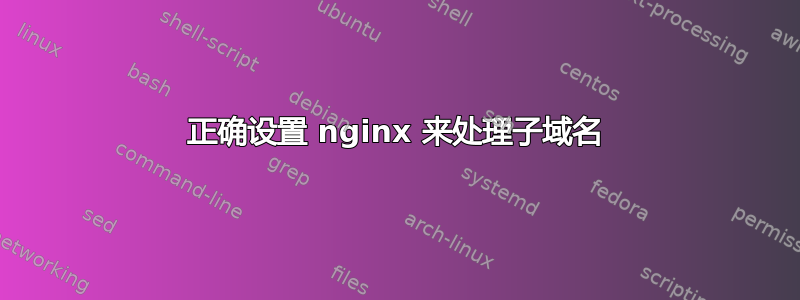 正确设置 nginx 来处理子域名