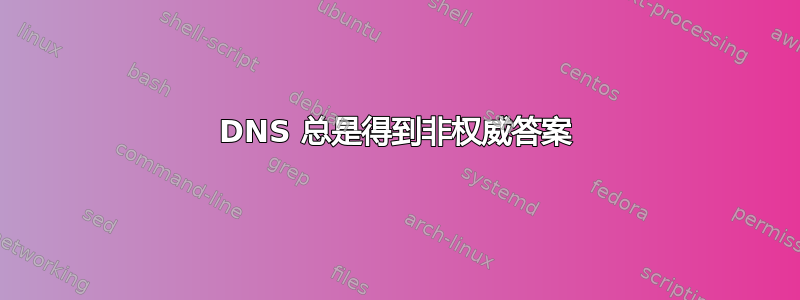 DNS 总是得到非权威答案