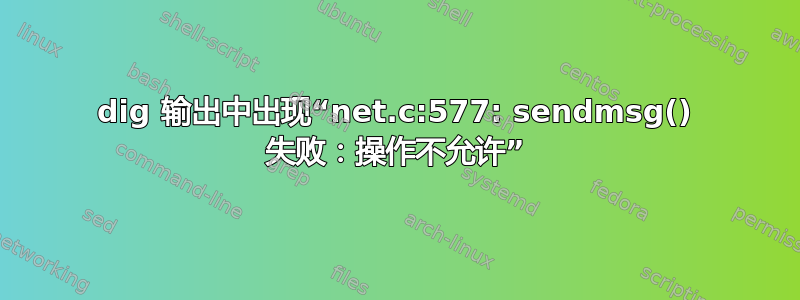 dig 输出中出现“net.c:577: sendmsg() 失败：操作不允许”