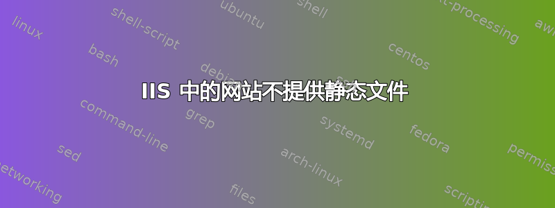 IIS 中的网站不提供静态文件