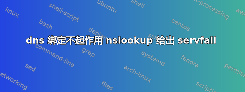 dns 绑定不起作用 nslookup 给出 servfail