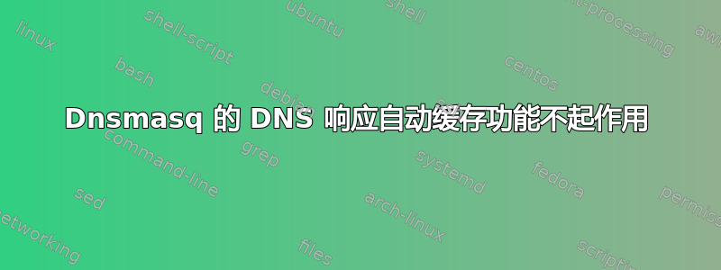 Dnsmasq 的 DNS 响应自动缓存功能不起作用