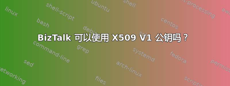 BizTalk 可以使用 X509 V1 公钥吗？