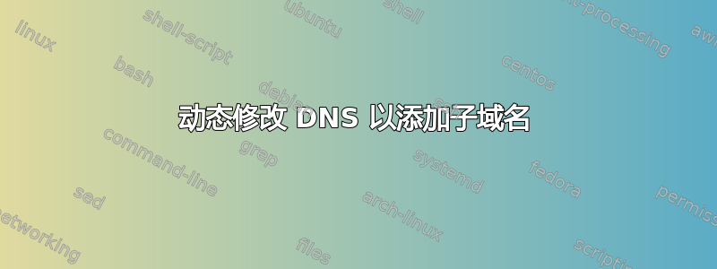 动态修改 DNS 以添加子域名