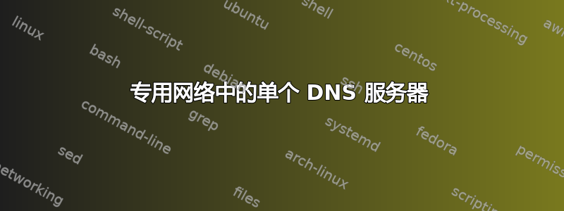 专用网络中的单个 DNS 服务器