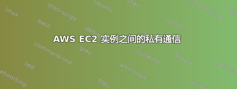 AWS EC2 实例之间的私有通信