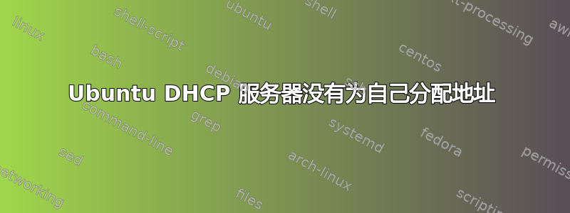 Ubuntu DHCP 服务器没有为自己分配地址