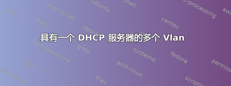 具有一个 DHCP 服务器的多个 Vlan 