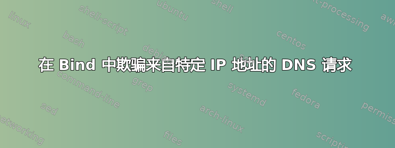 在 Bind 中欺骗来自特定 IP 地址的 DNS 请求