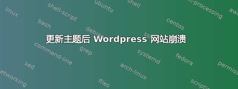 更新主题后 Wordpress 网站崩溃 