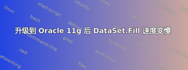 升级到 Oracle 11g 后 DataSet.Fill 速度变慢