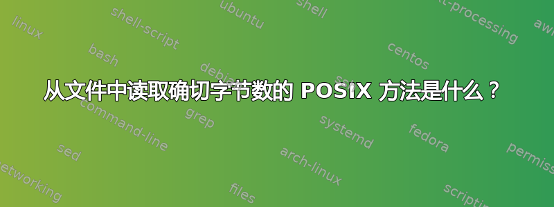 从文件中读取确切字节数的 POSIX 方法是什么？