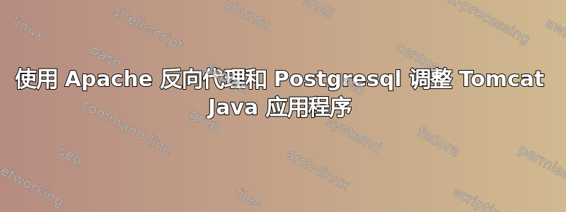 使用 Apache 反向代理和 Postgresql 调整 Tomcat Java 应用程序