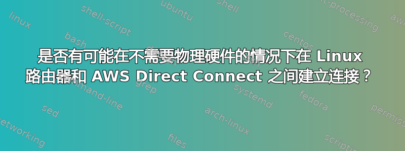 是否有可能在不需要物理硬件的情况下在 Linux 路由器和 AWS Direct Connect 之间建立连接？