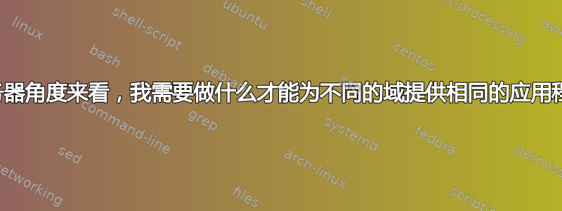 从服务器角度来看，我需要做什么才能为不同的域提供相同的应用程序？