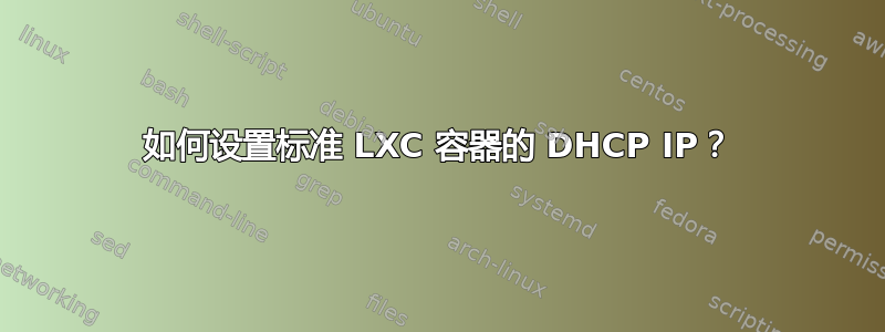 如何设置标准 LXC 容器的 DHCP IP？