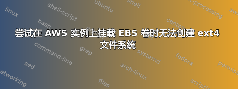 尝试在 AWS 实例上挂载 EBS 卷时无法创建 ext4 文件系统