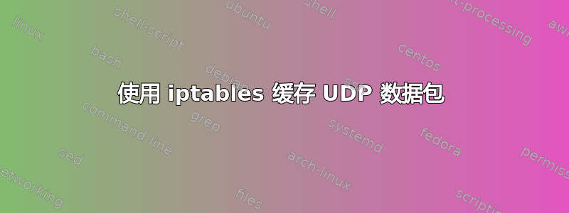 使用 iptables 缓存 UDP 数据包