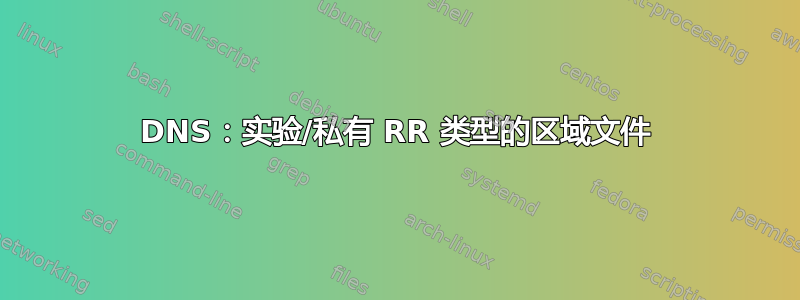 DNS：实验/私有 RR 类型的区域文件