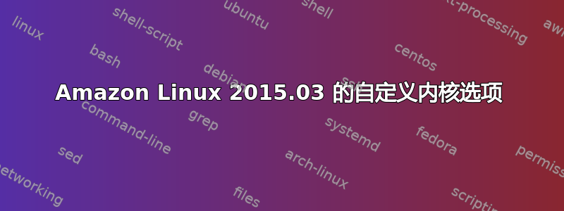 Amazon Linux 2015.03 的自定义内核选项