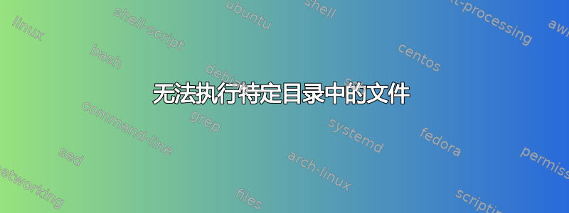 无法执行特定目录中的文件