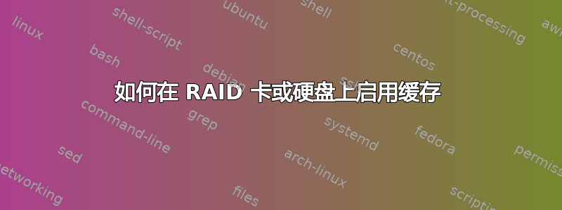 如何在 RAID 卡或硬盘上启用缓存