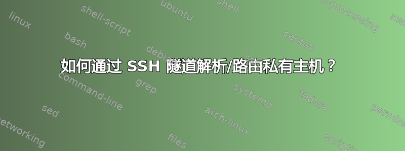 如何通过 SSH 隧道解析/路由私有主机？