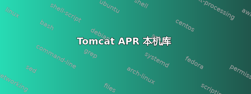 Tomcat APR 本机库