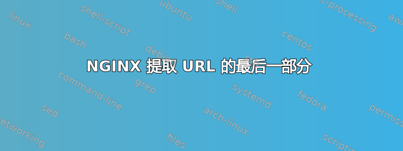 NGINX 提取 URL 的最后一部分