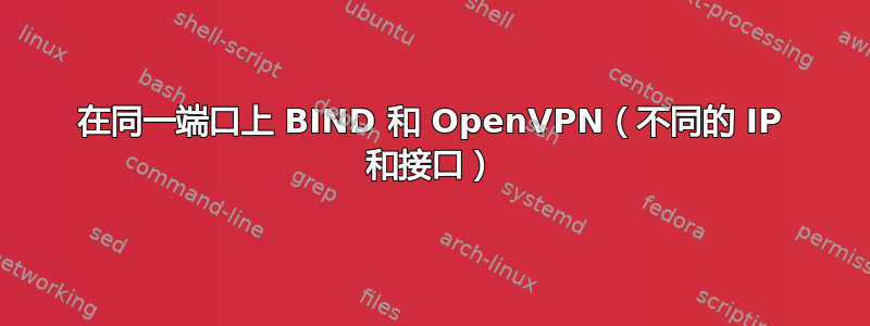 在同一端口上 BIND 和 OpenVPN（不同的 IP 和接口）